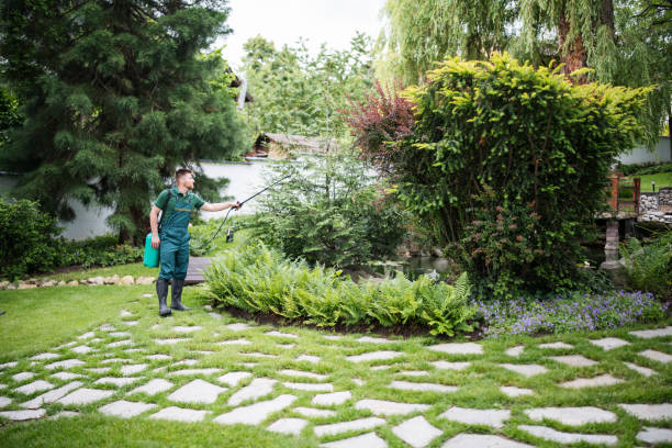 Best Wasp Removal Services  in Lynchburg, TN