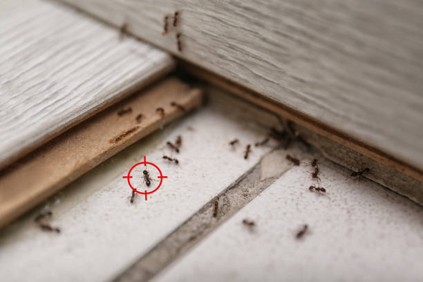Best Wildlife Control Services  in Lynchburg, TN