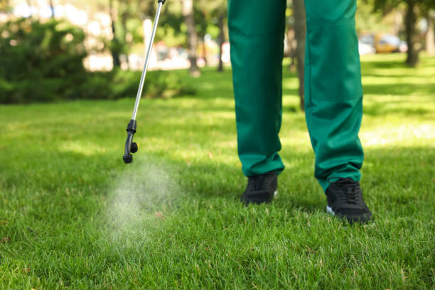 Best Rat Extermination Near Me  in Lynchburg, TN