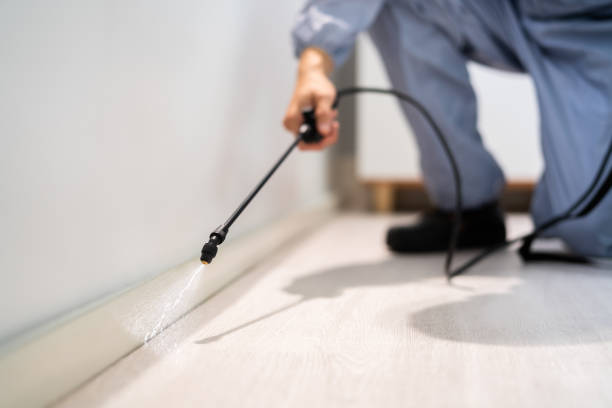Flea Control Services in Lynchburg, TN