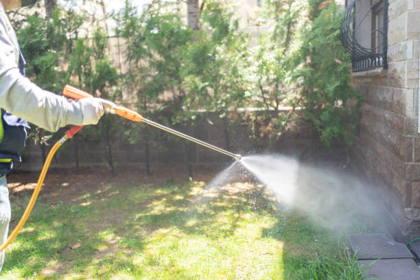 Reliable Lynchburg, TN Pest Control Solutions