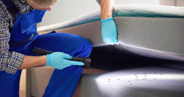 Best Pest Control Near Me  in Lynchburg, TN