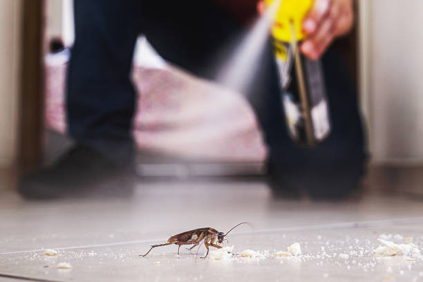 Best Pest Prevention Services  in Lynchburg, TN