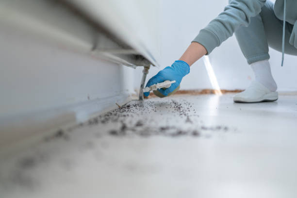 Best Bed Bug Extermination  in Lynchburg, TN