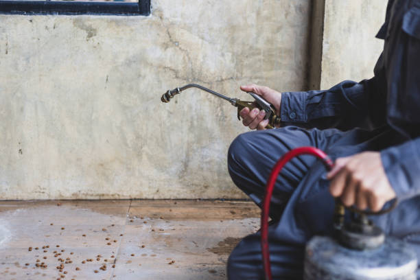 Best Best Pest Control Companies  in Lynchburg, TN